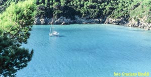 Picture of: Isola d’Elba: 10 Things not to Miss