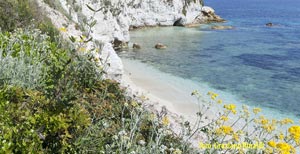 Picture of: White pebbles and crystal waters..