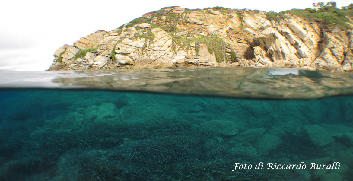 Coastline of Elba Island