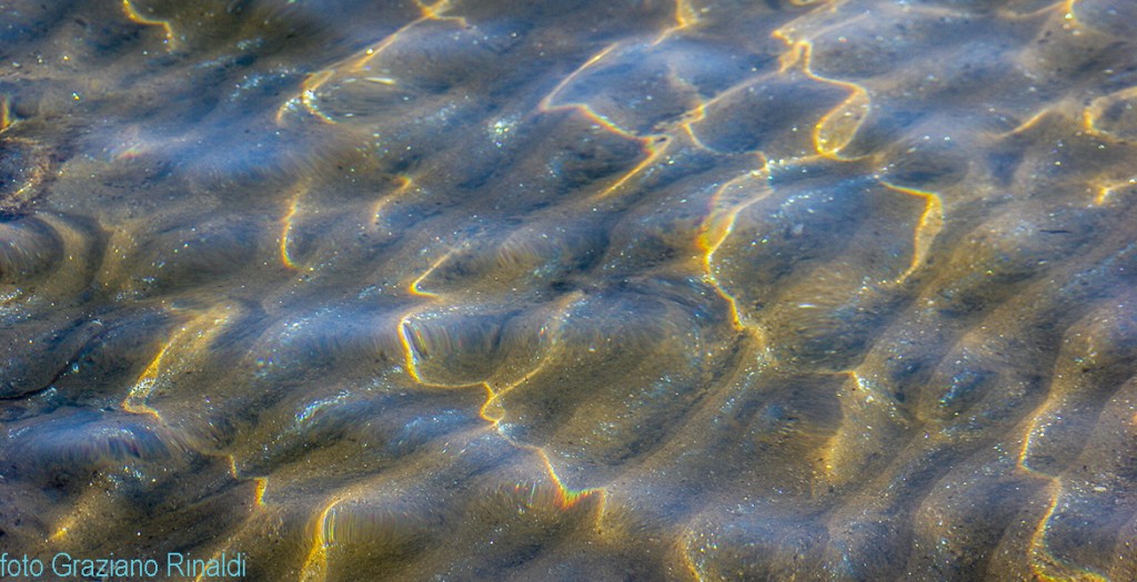 Transparent water in Elba