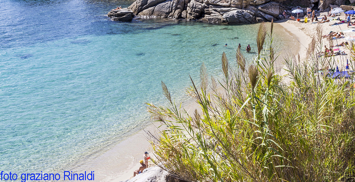 Sunbathing in Elba Island