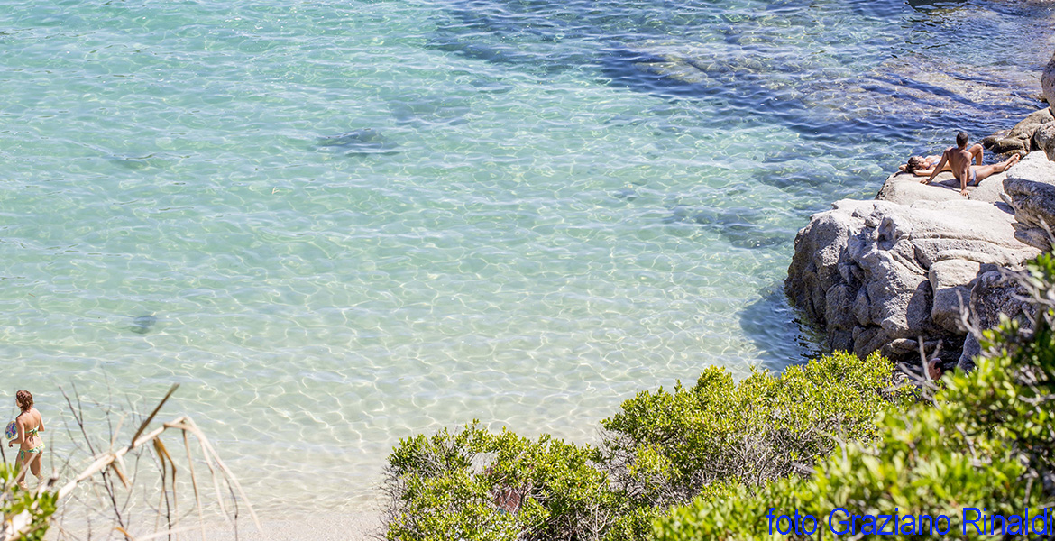 Cavoli and its clear waters