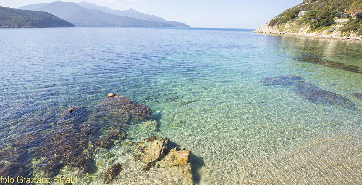 Forno beach on Elba island