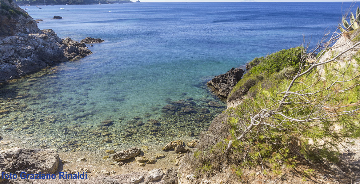 The exotic beach of Felciaio on Elba island