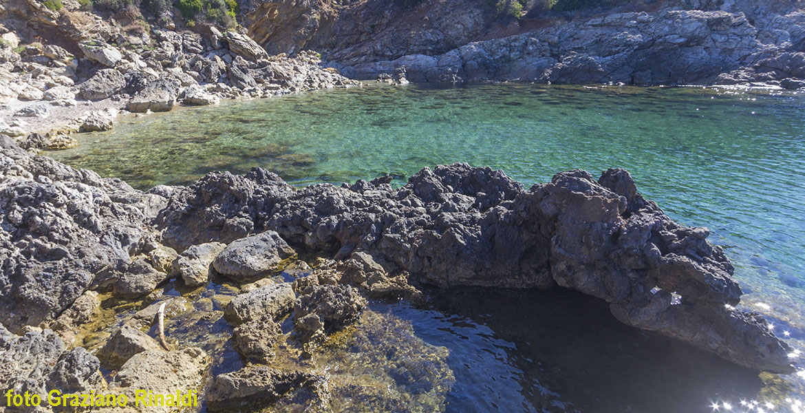 The exotic beach of Felciaio on Elba island