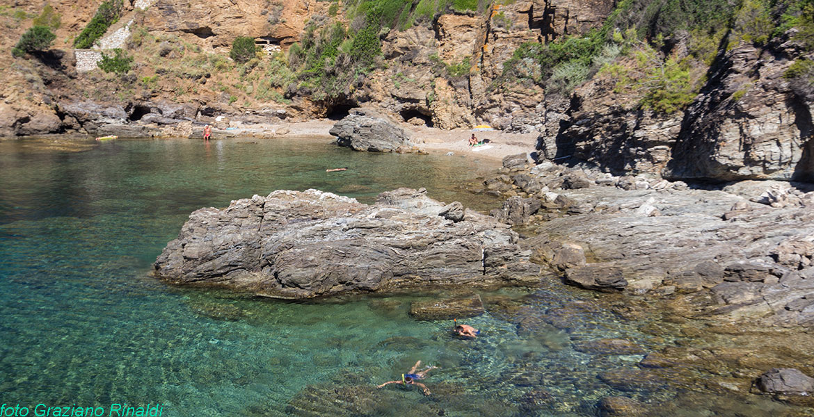 The exotic beach of Felciaio on Elba island