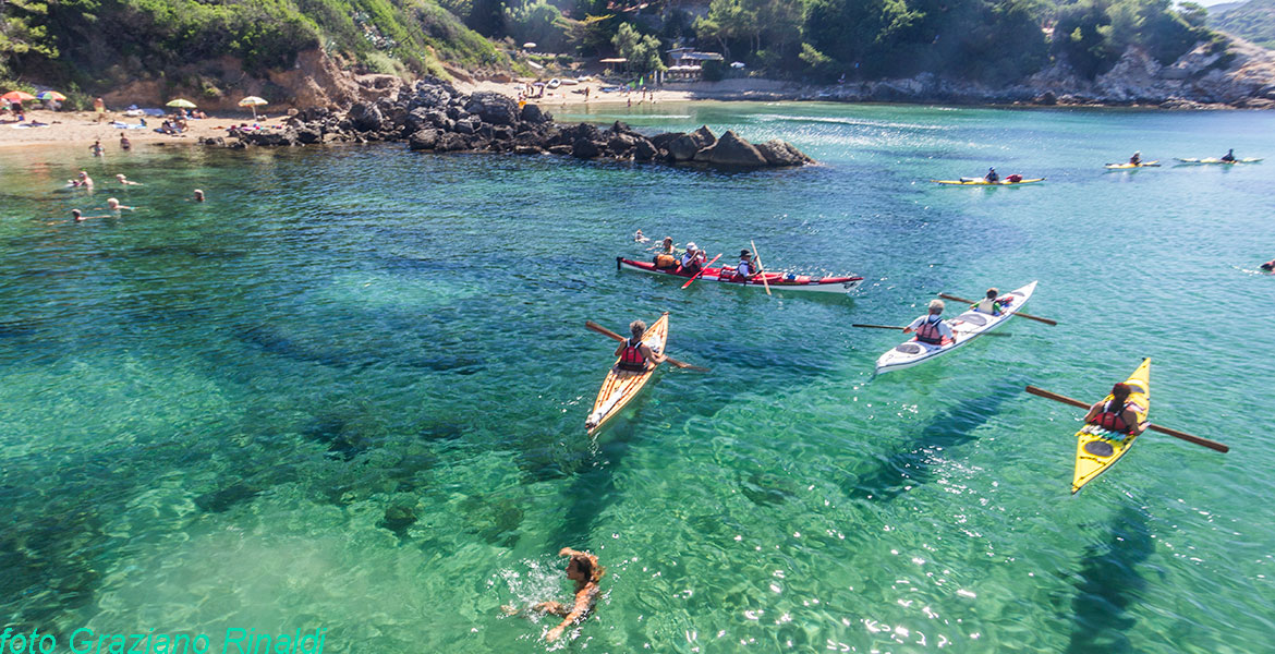 The exotic beach of Felciaio on Elba island