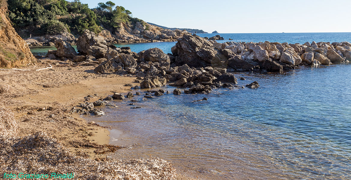 The exotic beach of Felciaio on Elba island