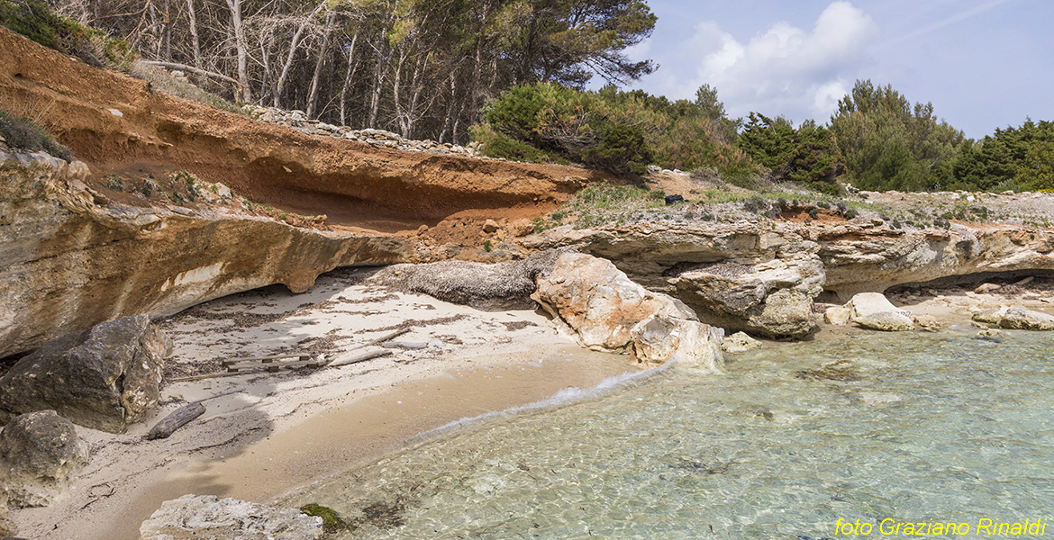 Blog Elba Island Pianosa Tuscan Archipelago National Park charming small beach near the village
