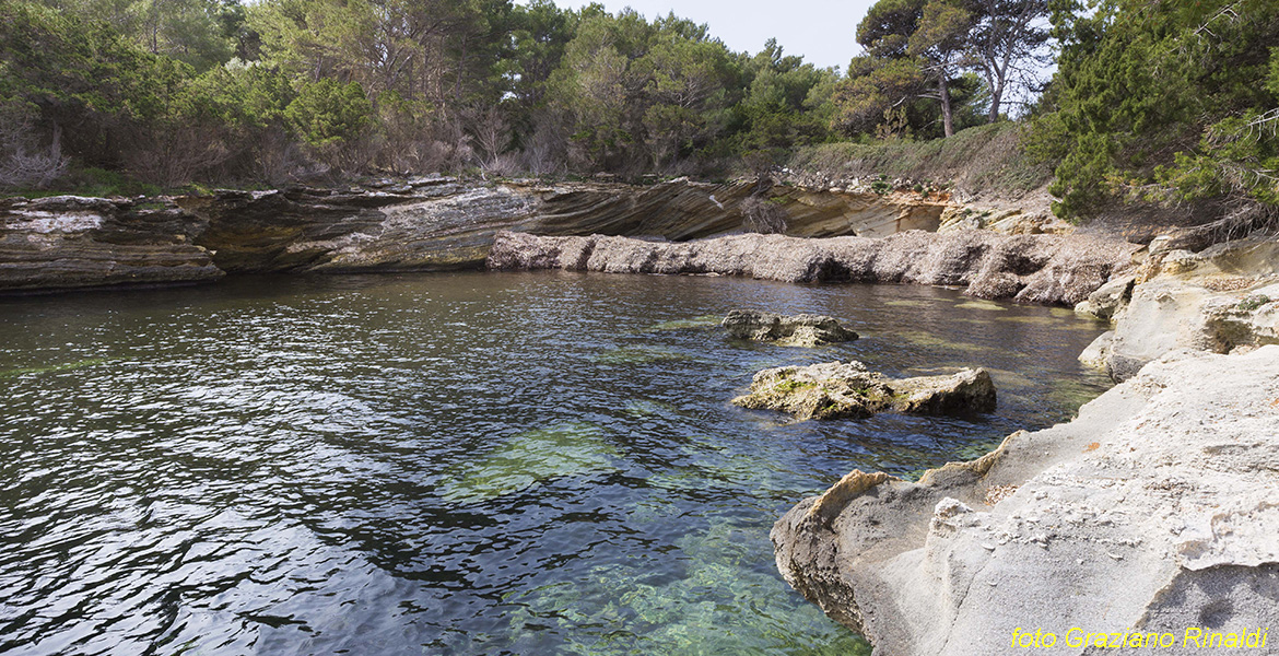 Blog Elba Island Pianosa Tuscan Archipelago National Park low cliffs and deposits leaves poseidonia