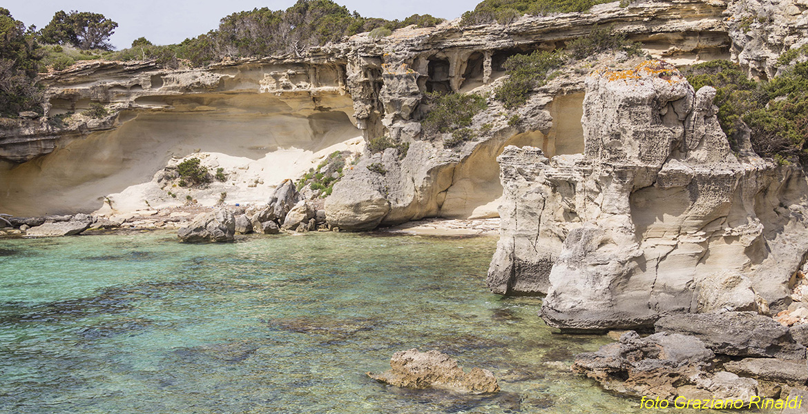 Blog Elba Island Pianosa Tuscan Archipelago National Park low sandstone cliffs you set the Burnt