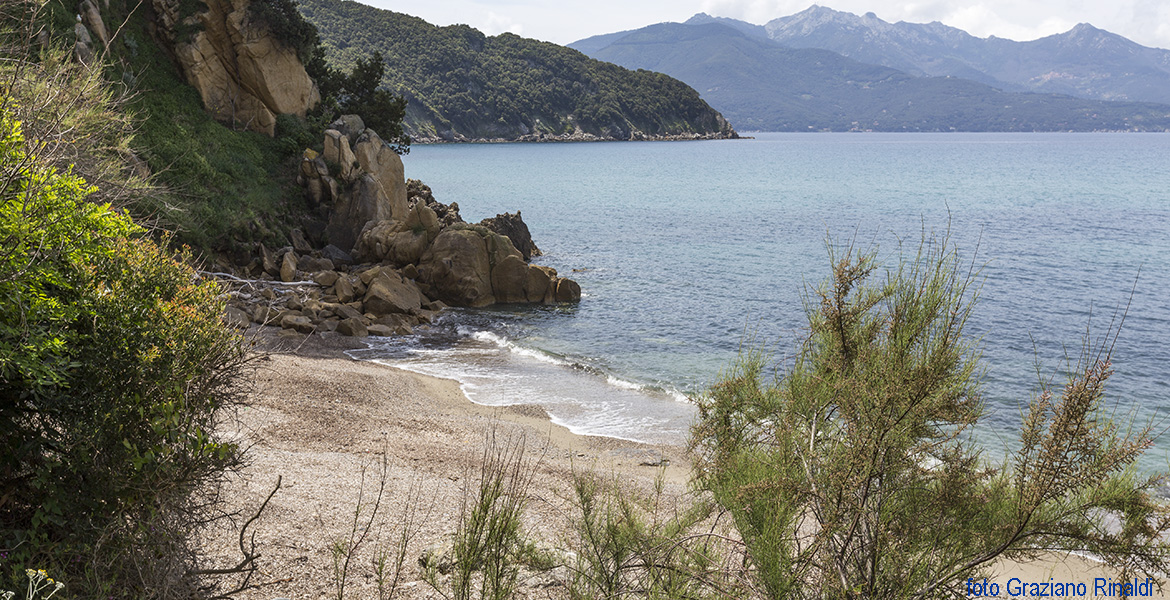 Elba Island, Viticcio beach