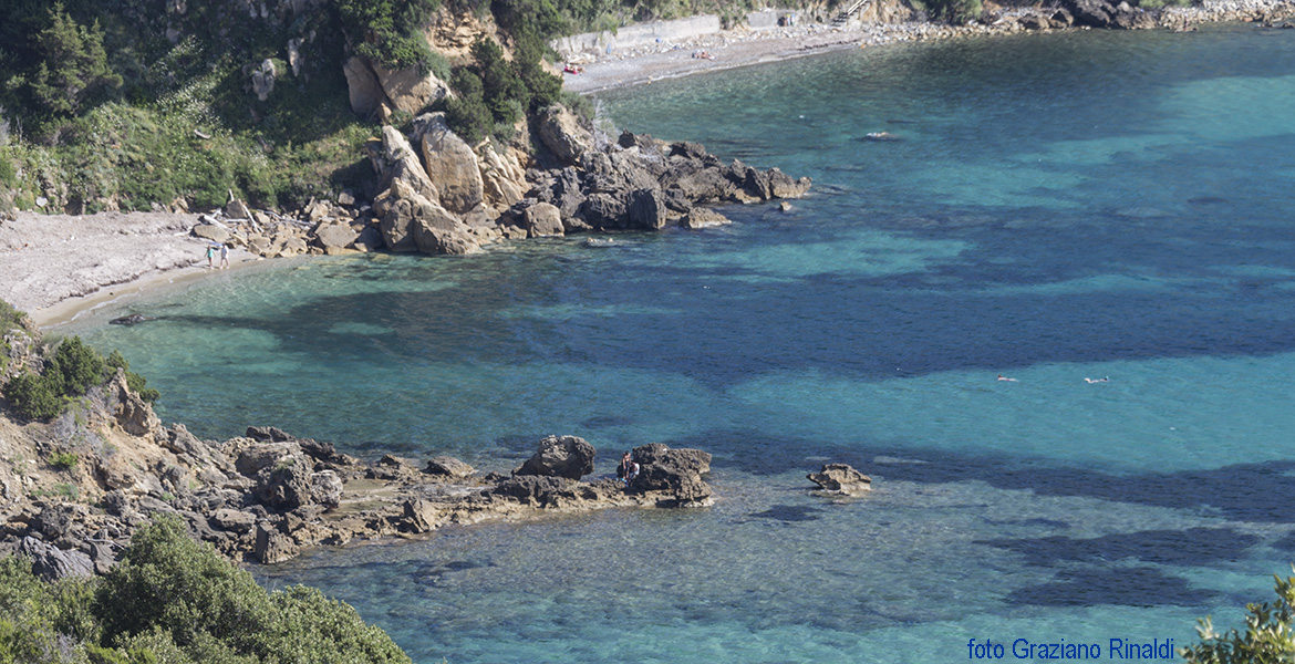 Elba Island, Viticcio beach