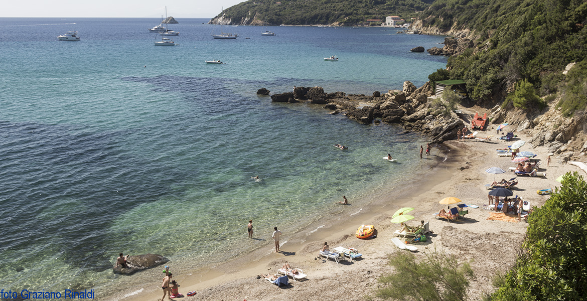 Elba Island, Viticcio beach