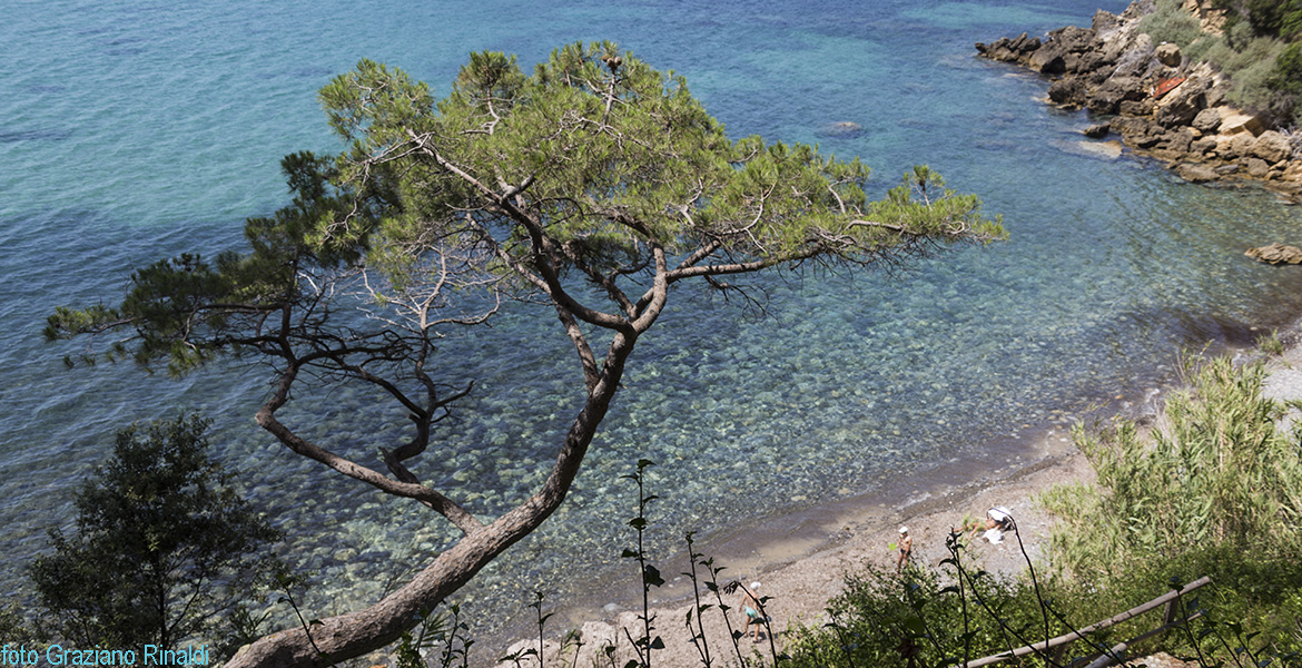 Elba Island, Viticcio beach