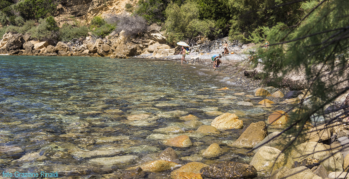 Elba Island, Viticcio beach