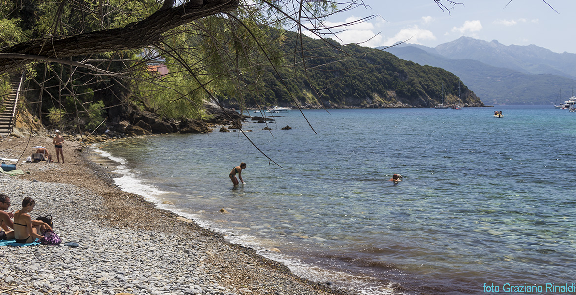 Elba Island, Viticcio beach