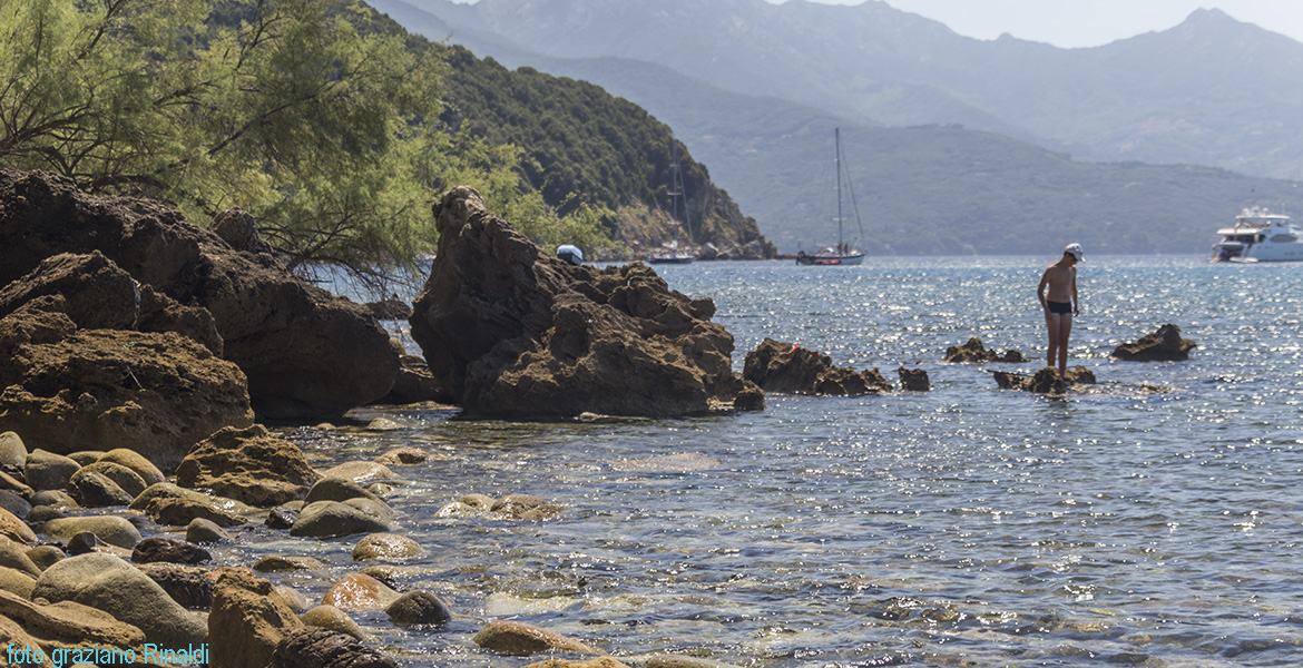 Elba Island, Viticcio beach