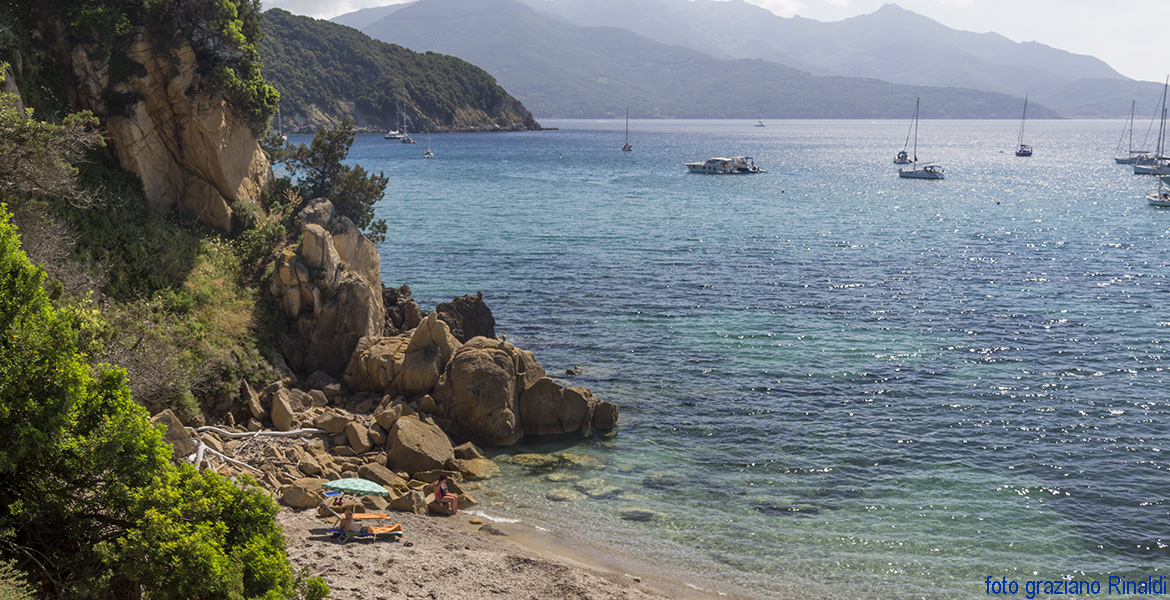 Elba Island, Viticcio beach