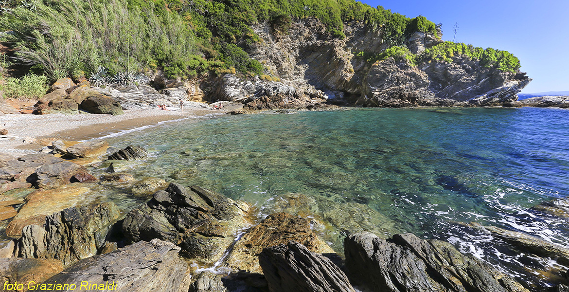Elba Island, clear waters and rocks