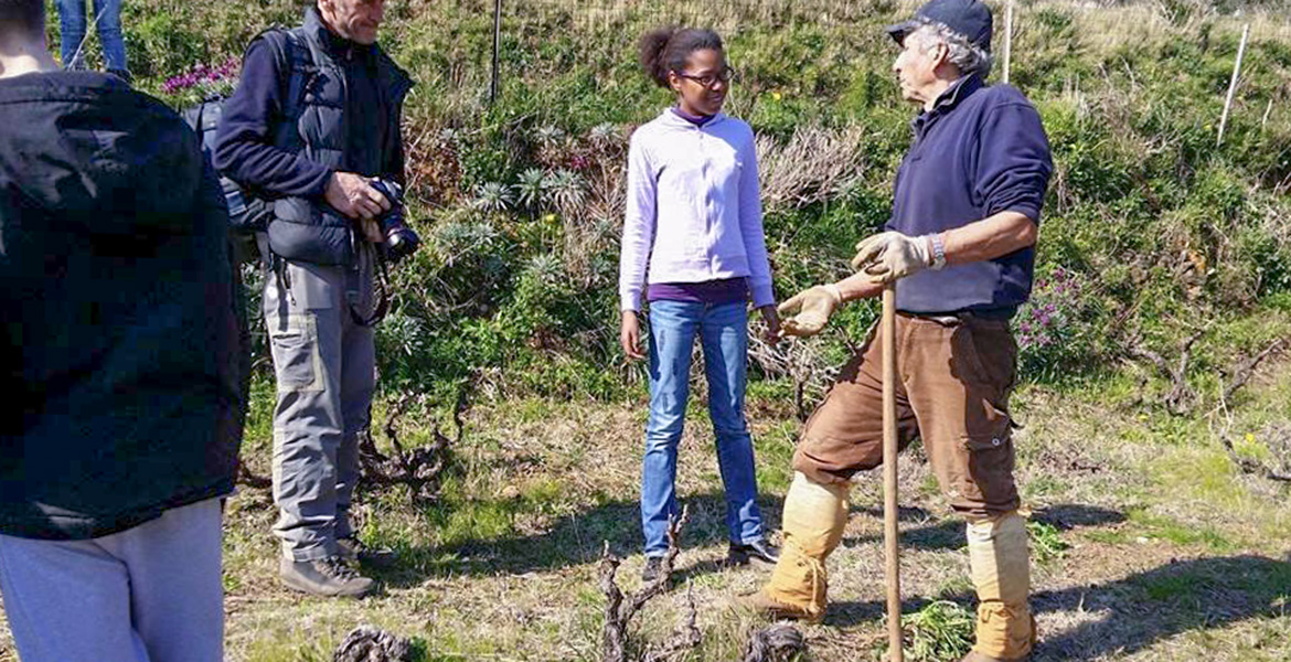 Elba Island, agriculture, wine, students