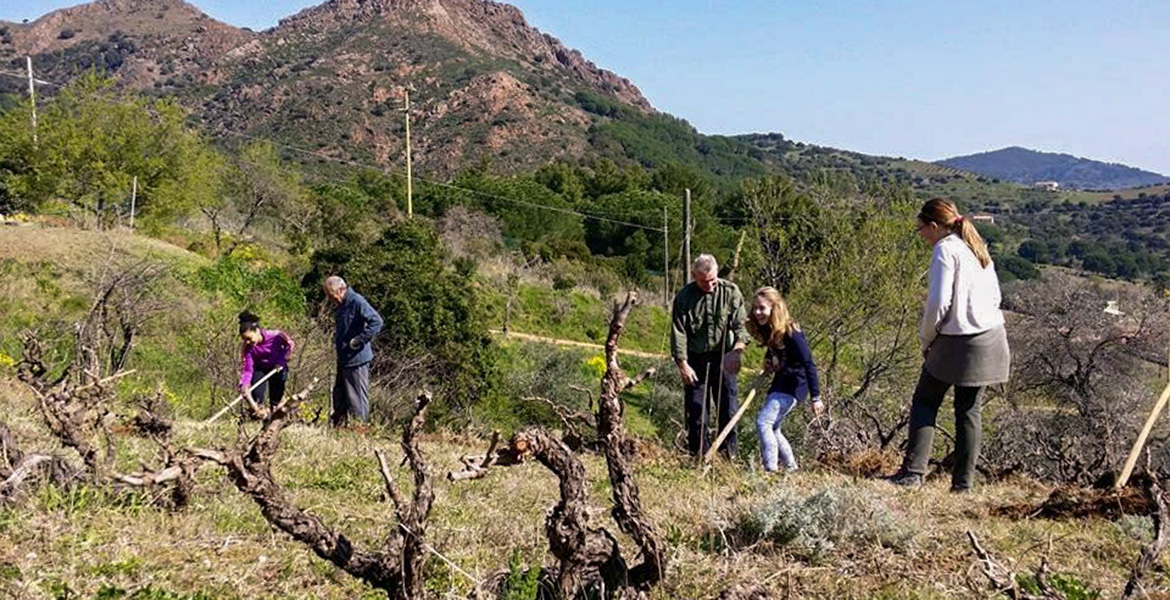 Elba Island, agriculture, wine, students, nature