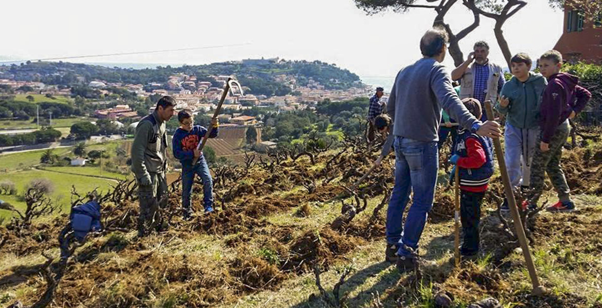 Elba Island, agriculture, wine, students