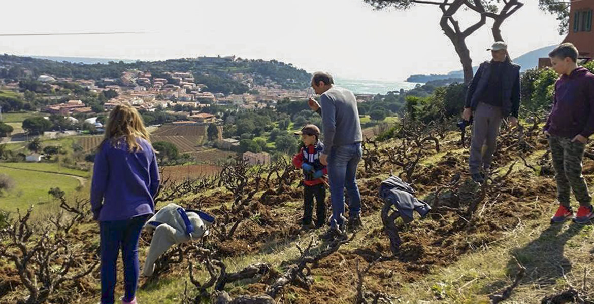 Elba Island, agriculture, wine, students, sea view