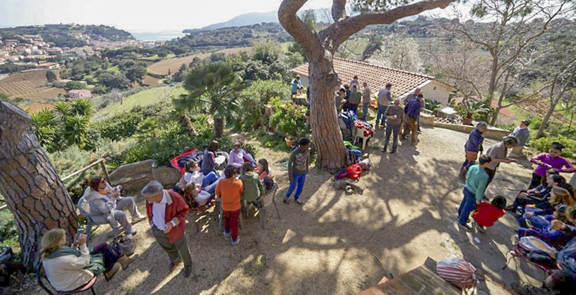 Elba Island, agriculture, students, trees