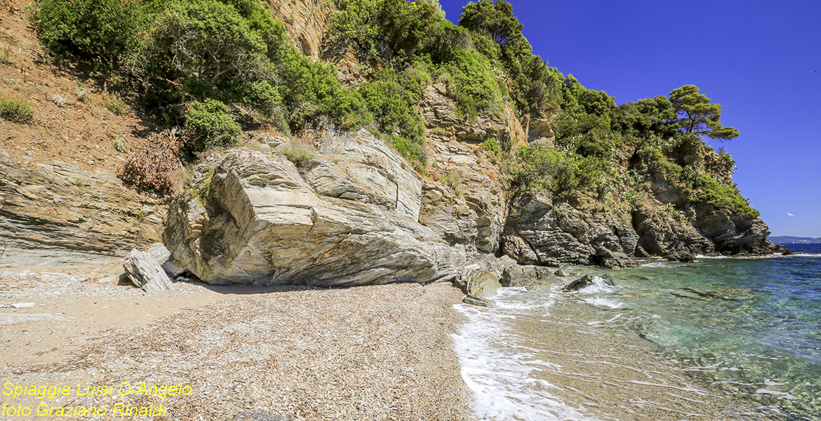 Elba Island, Luisi d'Angelo