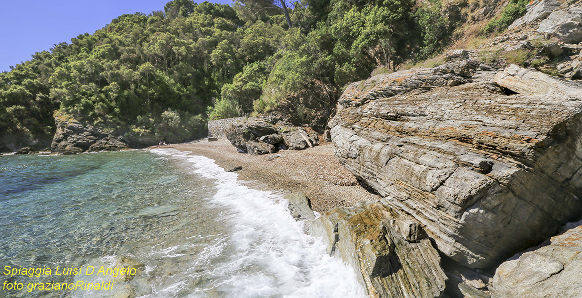 Elba Island Beach of Luisi d'Angelo