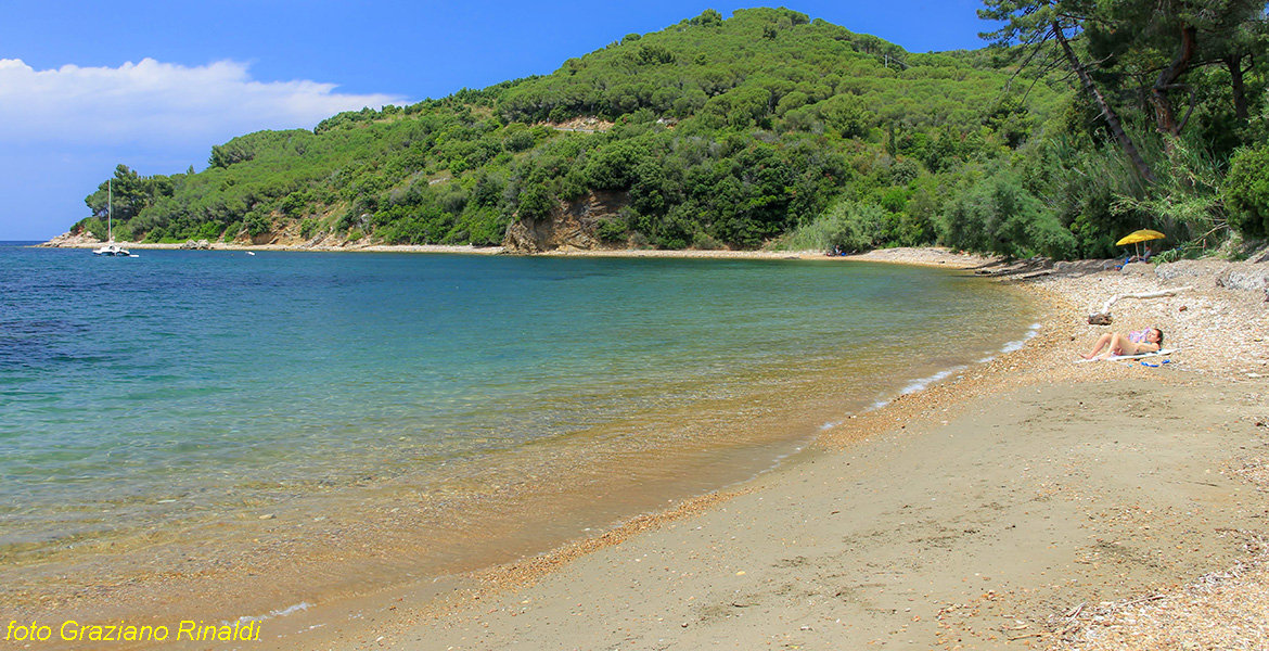 Elba Island, Ottonella beach, Italy, Ottonella, sea, Toscana, holiday