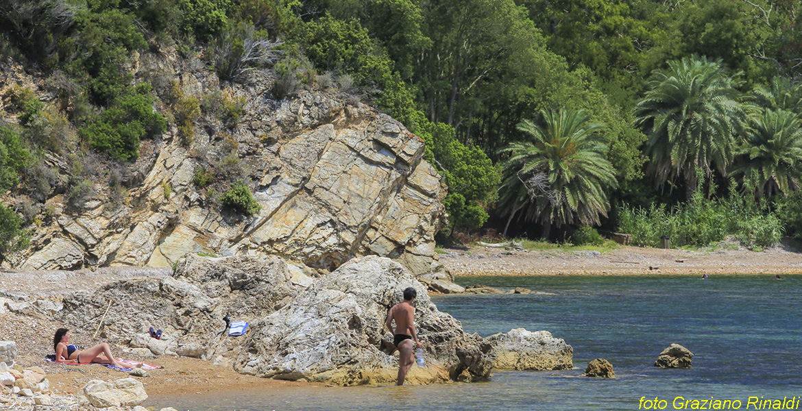 Elba Island, Ottonella beach, Italy, Ottonella, sea, Toscana, holiday, rock, italian holidays