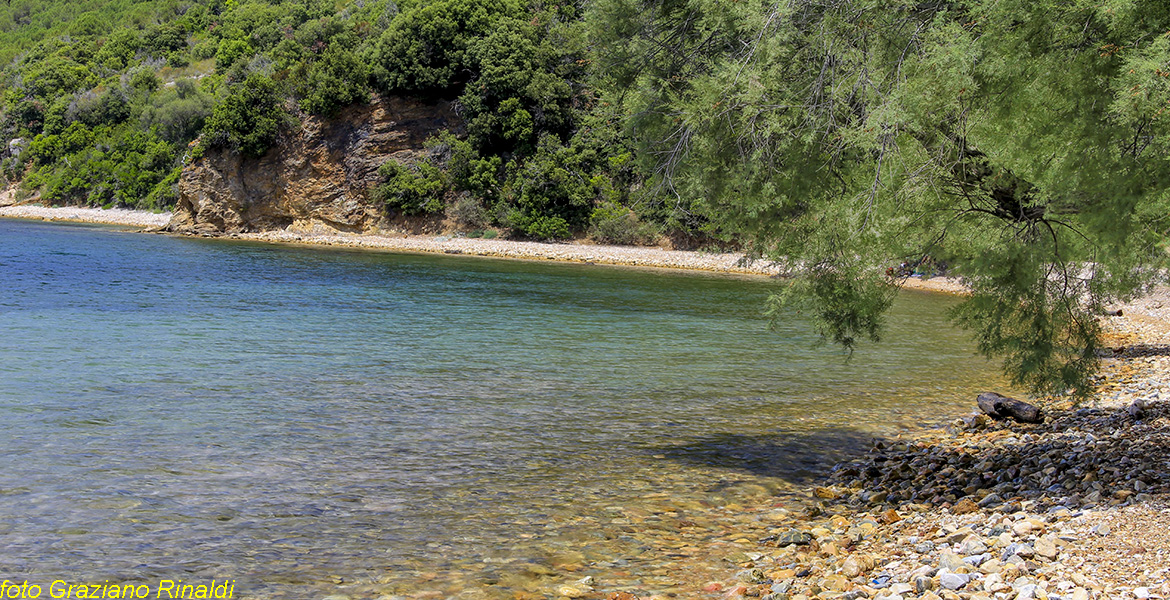 Elba Island, Ottonella beach, Italy, Ottonella, sea, Toscana, holiday, transparent water, mediterranean sea