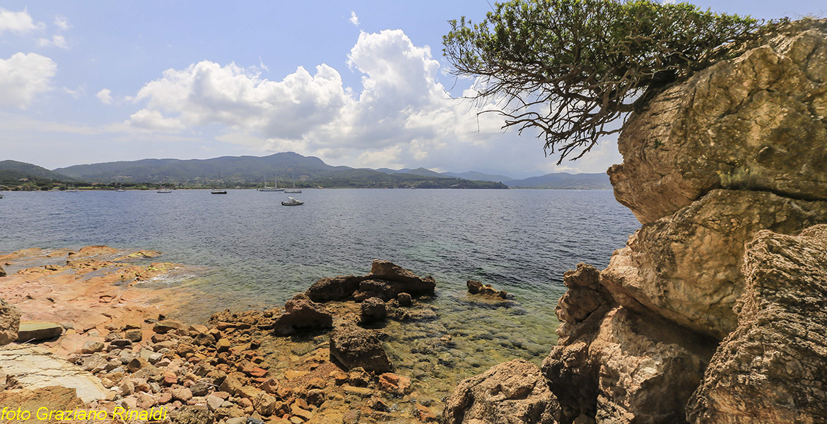 Elba Island, Ottonella beach, Italy, Ottonella, sea, Toscana, holiday