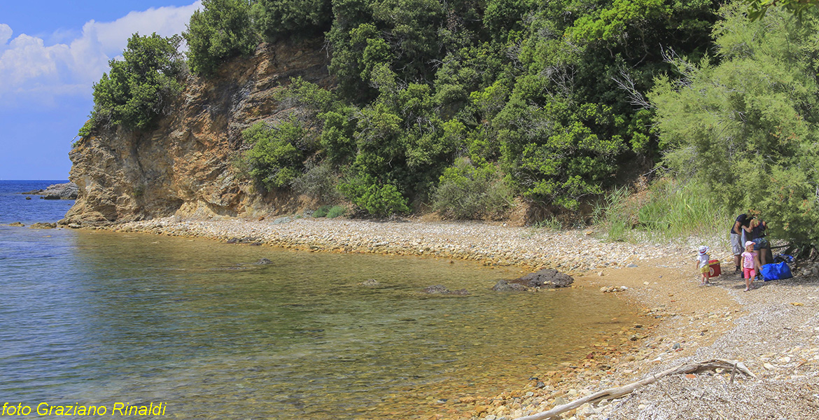 Elba Island, Ottonella beach, Italy, Ottonella, sea, Toscana, holiday, clean water, sunny days