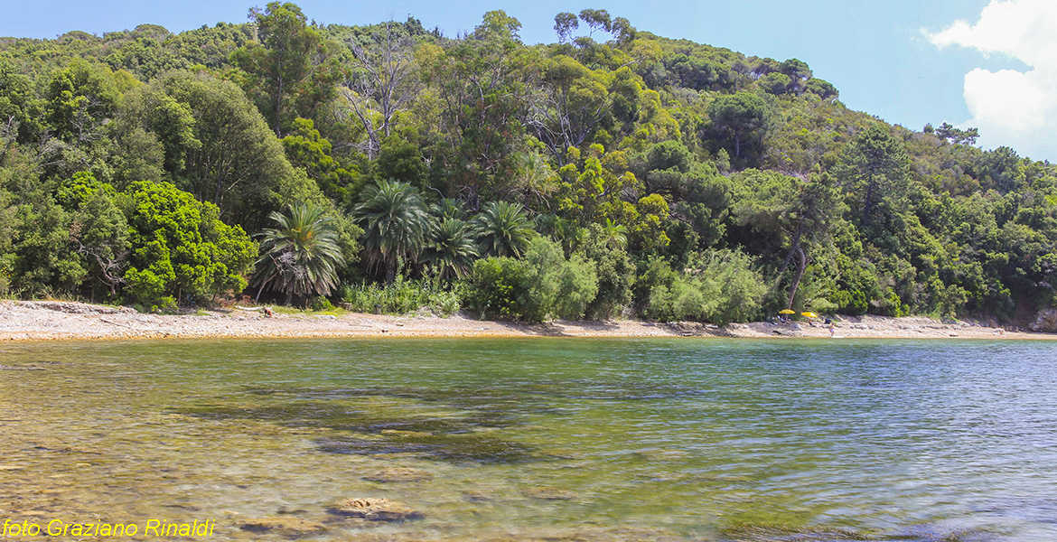 Elba Island, Ottonella beach, Italy, Ottonella, sea, Toscana, holiday, nature, clean air