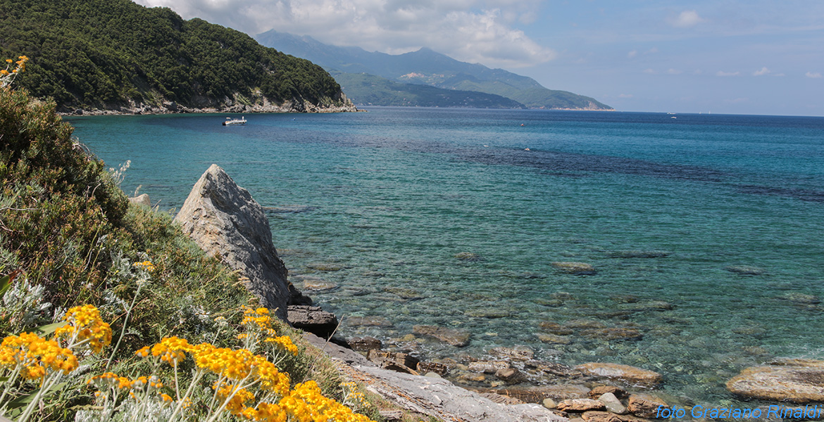 Elba Island, Viticcio, Beach, summer