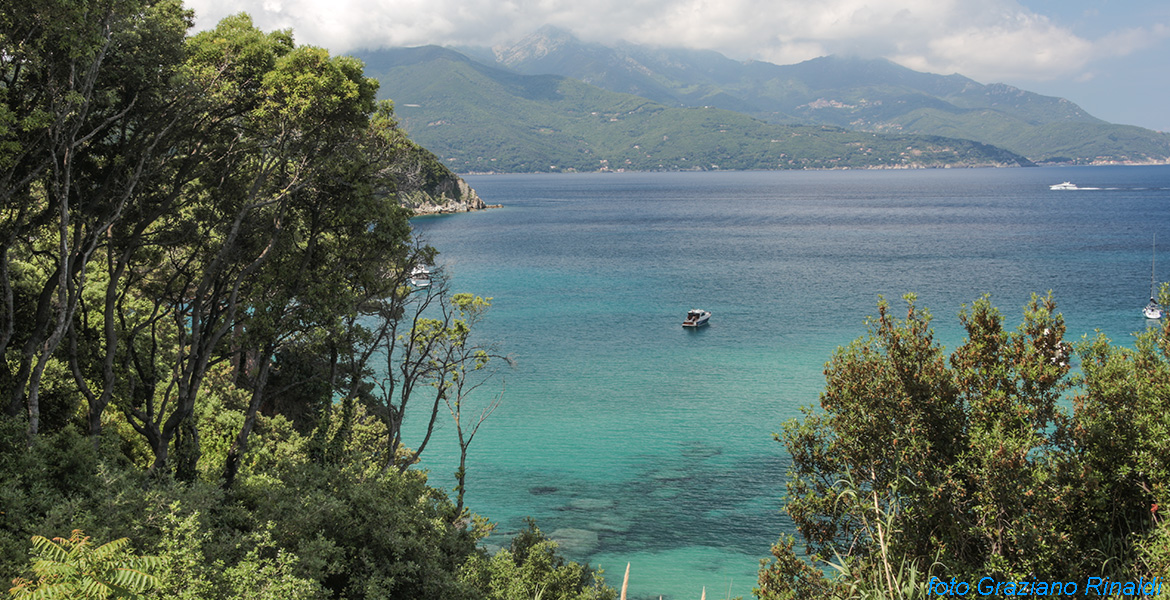 elba island, beach, sea, summer, blue, mediterranean sea