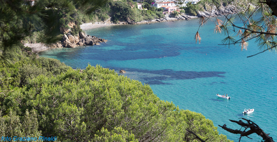 Elba Island, beach, summer, sea, nature, green, vacation