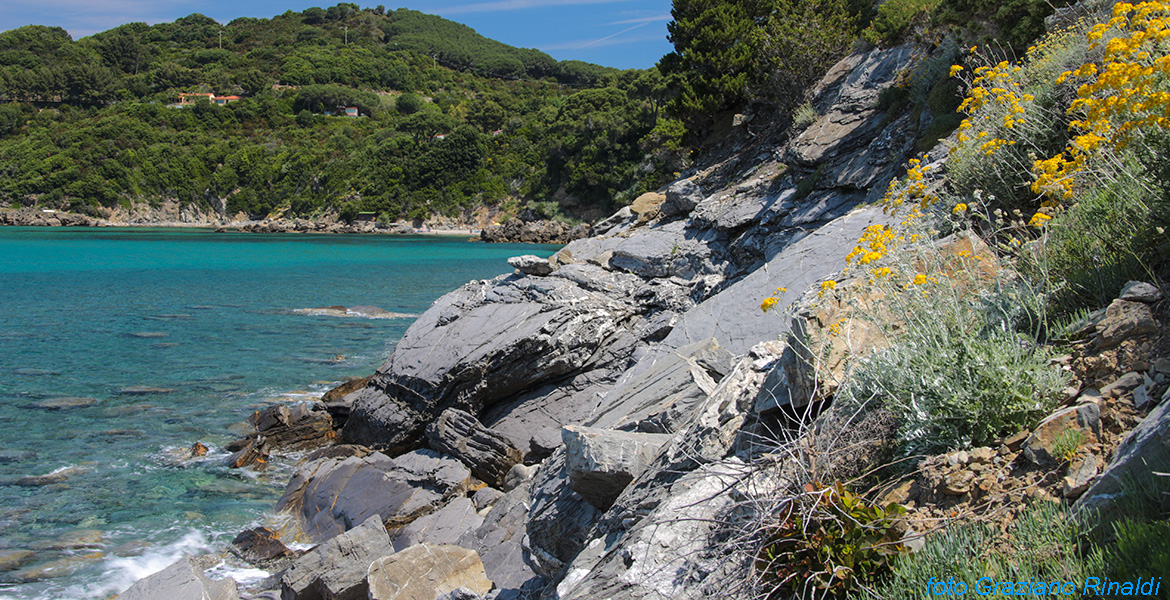 Elba island, rock, summer, sea, beach