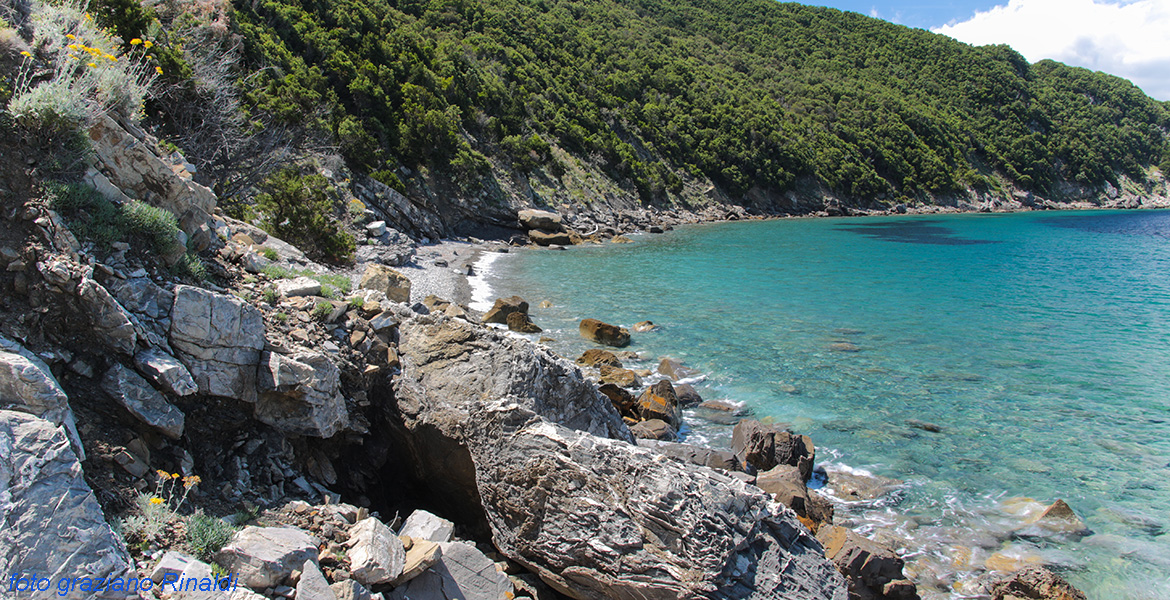 elba island, summer, beach, viticcio, rock