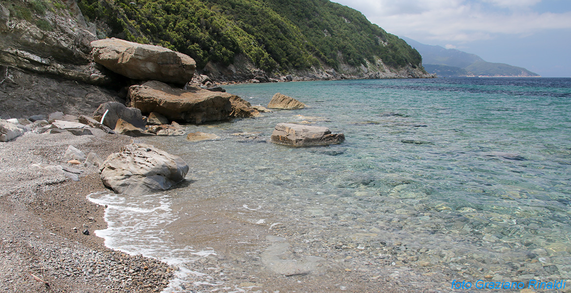 elba island, summer, vacation, viticcio, toscana, best beach