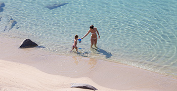 Picture of: The most beautiful beaches of Elba Island