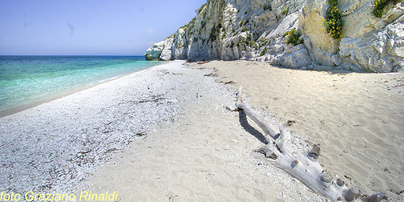 Elba Island, Italy, Mediterranean sea, Holidays, Summer, beach, family holiday