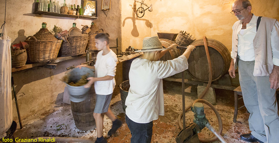 Elba Island, Italy, Toscana, Capoliveri, Wine, Festival