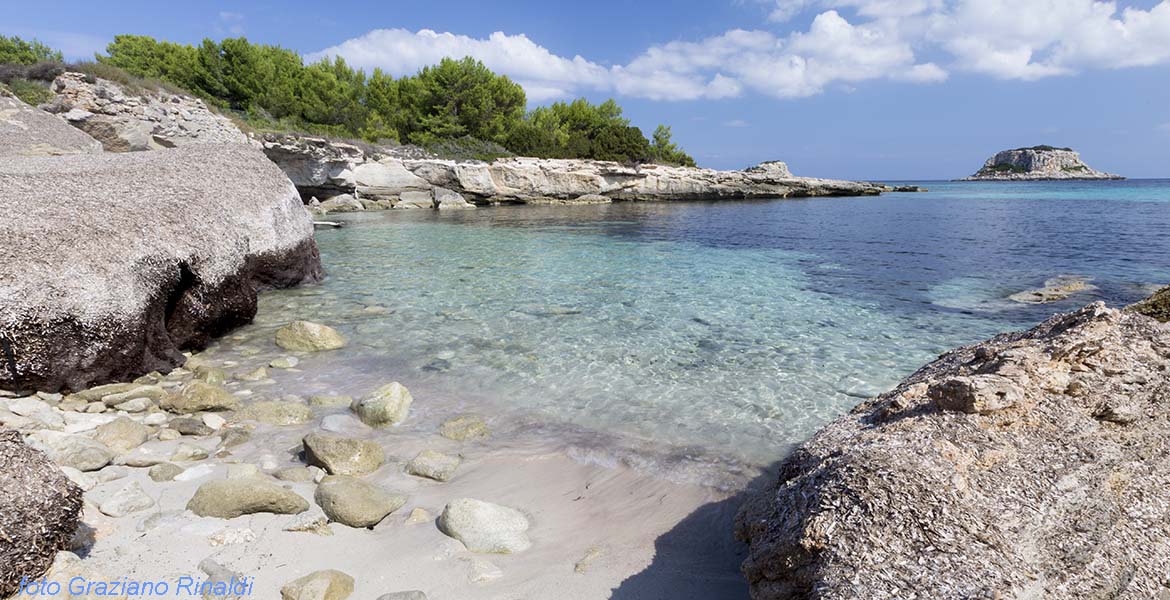 Pianosa, Elba, Italy, Sea, crystaline water, beach, nature, holiday, summer holiday, family holiday, tourism