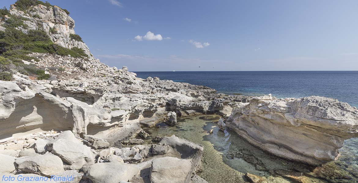 Pianosa, Elba, Italy, Sea, crystaline water, beach, nature, holiday, summer holiday, family holiday, tourism