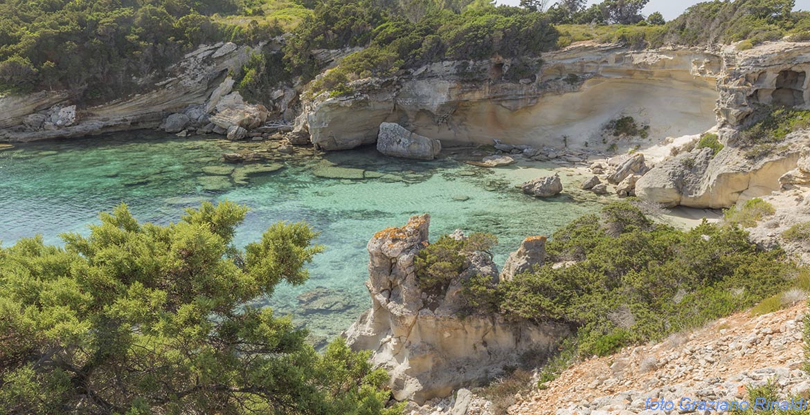 Pianosa, Elba, Italy, Sea, crystaline water, beach, nature, holiday, summer holiday, family holiday, tourism