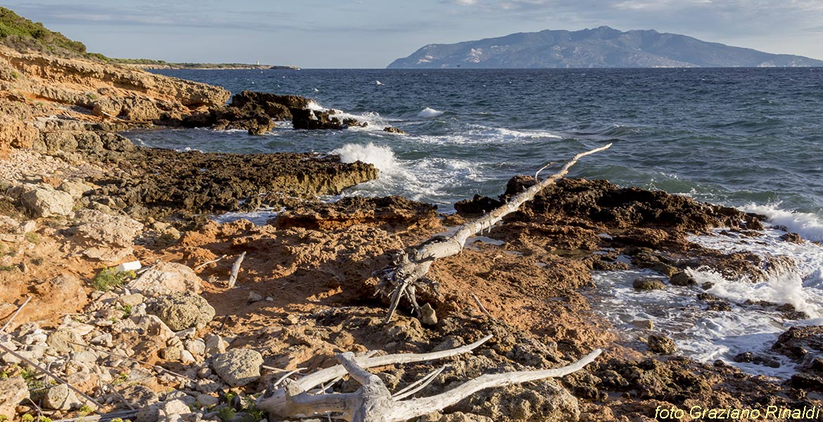 Pianosa, Elba, Italy, Sea, crystaline water, beach, nature, holiday, summer holiday, family holiday, tourism